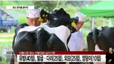 유방 40점 다리 25점 외모 25점 엉덩이 10점