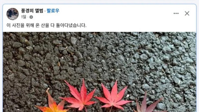 사진 한 장을 위해 온 산을 다 돌아다닌 사람