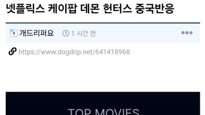 (혈압주의) &lt;케이팝 데몬 헌터스&gt; 중국반응