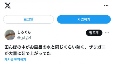 미쳐버린 일본 날씨 근황