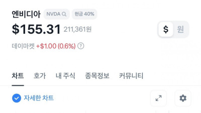 엔비디아 약 2달만에 80% 폭등.. 역대 최고가