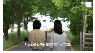 요즘 유행하는 친구 입양