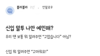 신입 말투 나만 예민해?