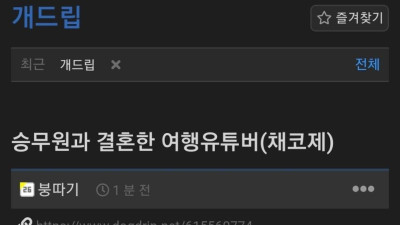 여행 유튜버 체코제가 11살 연하 승무원이랑 결혼한 이유 ㄷ..jpg