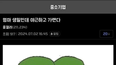 괘씸죄가 추가된 중소기업 갤러