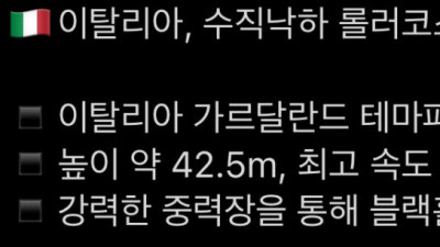 이탈리아 수직낙하 롤러코스터