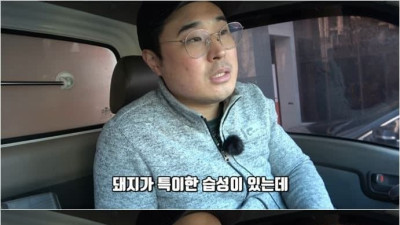 오싹오싹 돼지농장.. jpg 