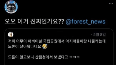 국립 공원에서 나물을 캐면 드론이 날아옴