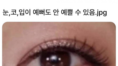 눈 코 입이 예뻐도 안 예쁠 수 있음