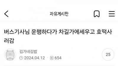 버스기사님 운행하다 말고 차 세우고 호떡사러 감