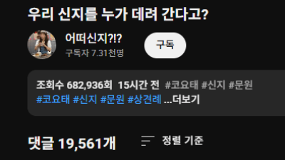 난리난 신지 유튜브 댓글 상황