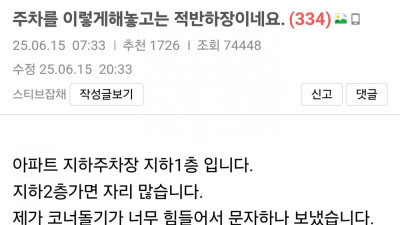 BMW 주차실력 논란