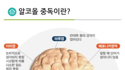 알콜이 뇌에게 미치는 영향