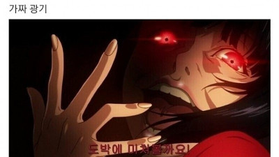애니로보는 가짜 광기 VS 진짜 광기