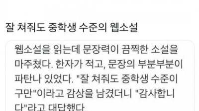 잘 쳐줘도 중학생 수준의 웹소설