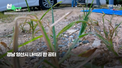 제대로 사고친 K-고딩들 ㄷㄷ