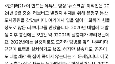 러브버그 이전에 은평구에서 창궐했던 대벌레
