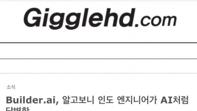 마이크로소프트의 4억달러 투자를 받은 인도 AI기업의 최후