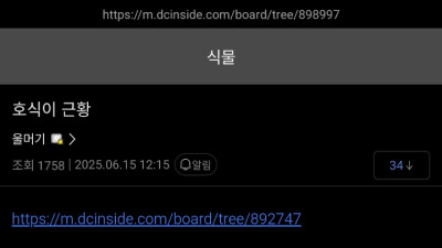 어쩌다보니 식물 키우다가 나비를 키워낸 식갤러