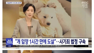 진돗개 분양 받고 잡아먹은 70대 레전드 