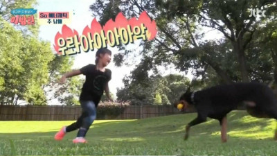 도베르만을 지치게 만드는 추신수 딸