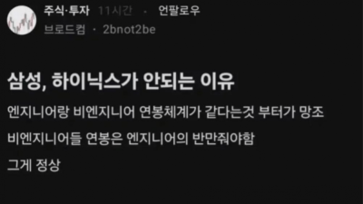 삼성전자 하이닉스가 안되는 이유