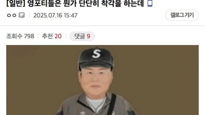 영포티 햄들 명치 존나 쌔게 때리는 글