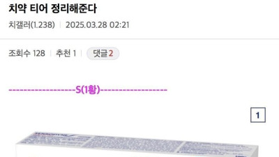 치갤에서 얘기하는 치약 티어 정리