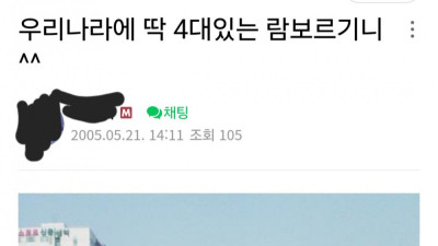 20년전 한국에 4대밖에 없었던 람보르기니 ㄷㄷ 