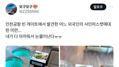 인천 공항 빈 게이트에서 발견된 외국인의 샤인 머스캣 
