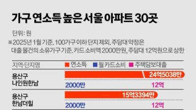 서울 아파트 주민소득 TOP 30위