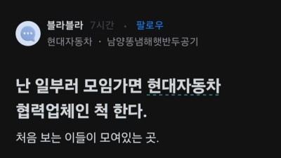 어떤 하나의 장르로 개척된것같은 현대자동차 문학