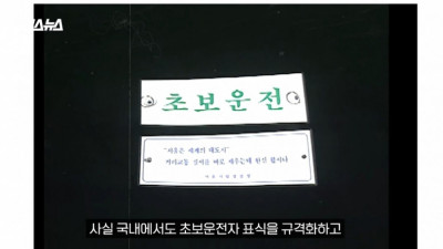 초보운전 표시 의무조항이 4년만에 사라진 이유