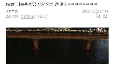 자살 의심받은 디씨인과 그 후기