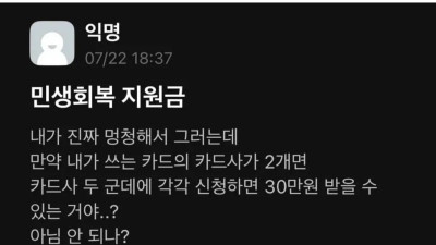 민생 쿠폰 카드사 2개인데 30만원 받을 수 있지 않음? 