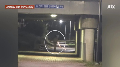 요즘 하천 러닝 충격적인 모습 ㄷㄷㄷ