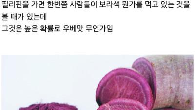 필리핀에 가면 한 번쯤 볼 수 있는 보라색 빙수