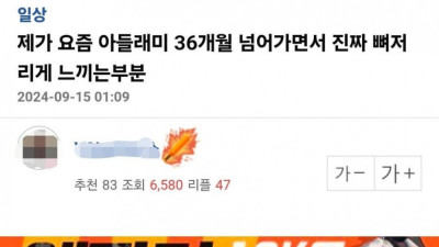 딩크족 포기하고 육아하면서 느낌점