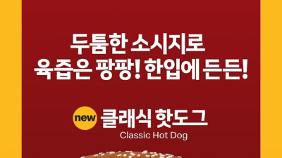 최근 출시한 맥도날드 3500원짜리 핫도그 꼬라지가 화제