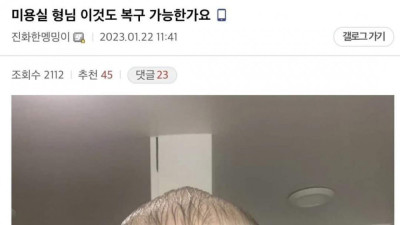 머리 이거 복구 가능한가요? ㅠㅠ 