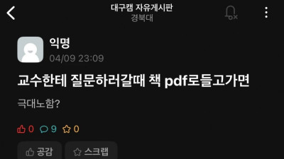 교수한테 pdf로 질문한 경북대 학생ㄷㄷ