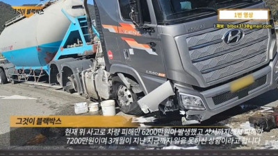 블박) 1억 피해 사고 유발 후 도망가는 75세 할머니