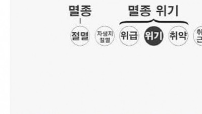 아마도 처음 봤을 수도 있는 희귀동물 
