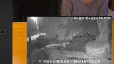 개 비비탄 쏜 해병대 또 밝혀진 충격적 사실