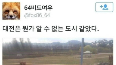 미지의 도시 대전 