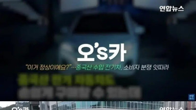 중국 전기차 사고 후회하는 차주