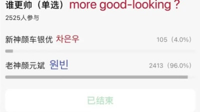 중국 여초 커뮤니티에서 투표한 원빈 vs 차은우