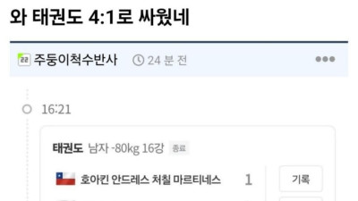 와 태권도 4:1로 싸웠네