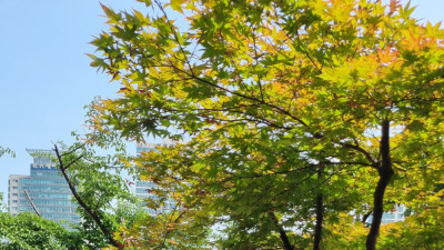 아이유한테 사인CD 받는 방법