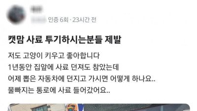 캣맘의 새로운 사료 주는 방법 ㅋㅋㅋㅋㅋ